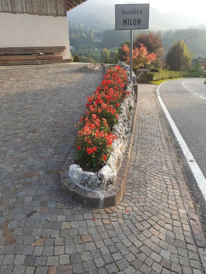 Maso Pinterato Apartment Cavalese Bagian luar foto