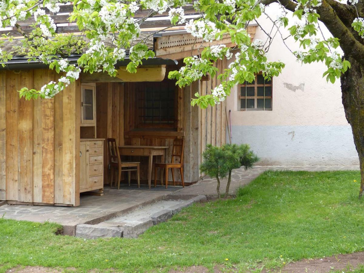 Maso Pinterato Apartment Cavalese Bagian luar foto